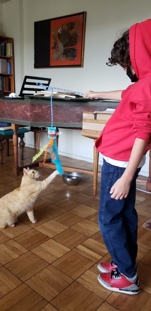 boy with cat